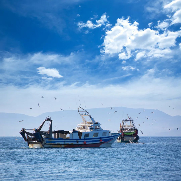 漁船海上作業(yè)場景